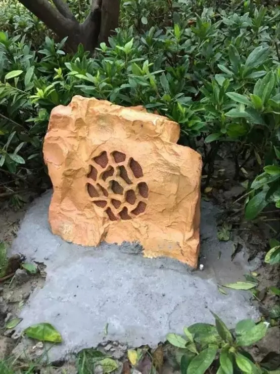 背景音樂(lè )系統