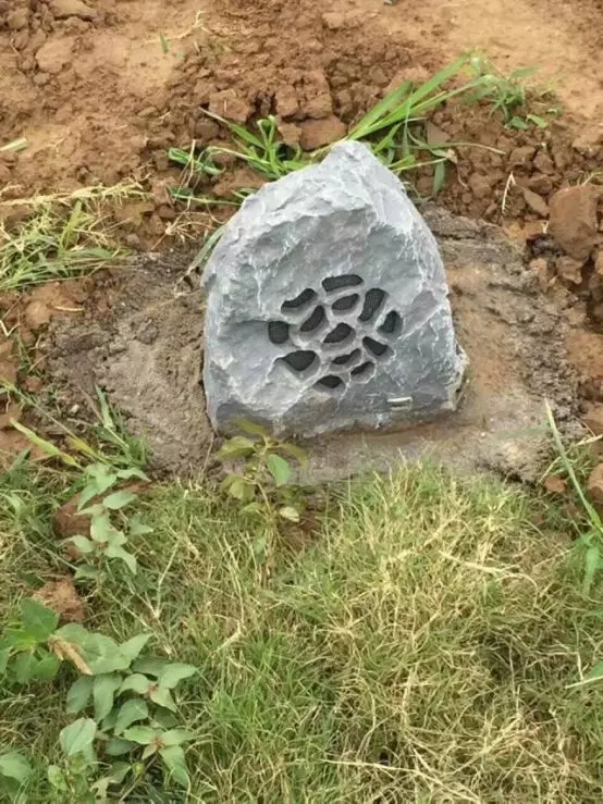 ANE智能廣播系統